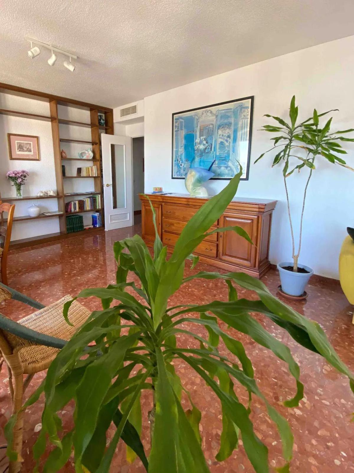 Nice Central Flat With Wonderful Views 코르도바 외부 사진